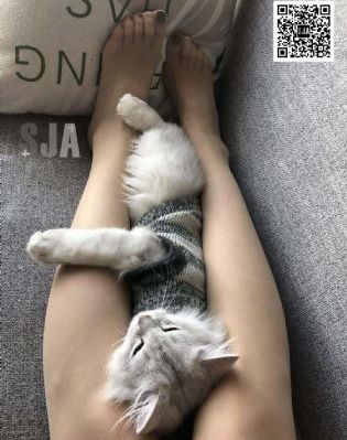 欧美黄页网大全_国产剧高清免费观看